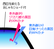 N[x[C[W
